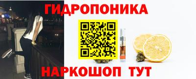 соль ск Будённовск