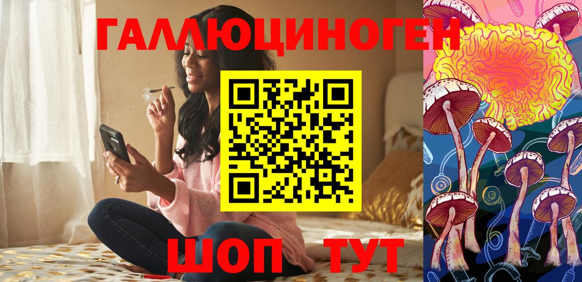 Галлюциногенные грибы Cubensis  Вход с VPN  Лабинск 
